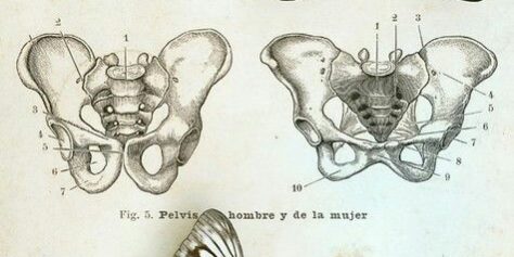 6dff8e6dd3307e02ed82f620d300fd5f