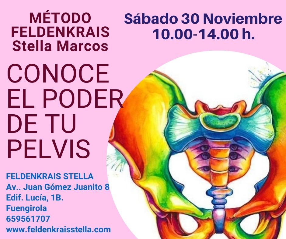pelvis 30.11.2019